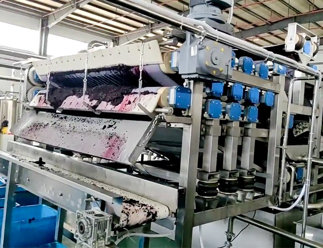 帶式壓榨機客戶桑葚榨汁使用現(xiàn)場