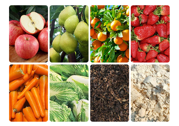 帶式蔬菜壓榨生產(chǎn)線 帶式蔬菜壓榨生產(chǎn)線