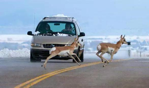 西安汽車(chē)陪練,輕松上路,陪練,陪駕,西安輕松上路汽車(chē)陪練公司